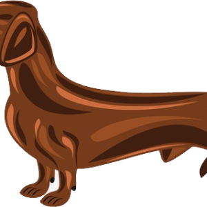 Dachshund PNG