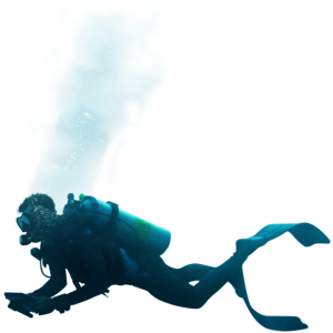 Diver PNG