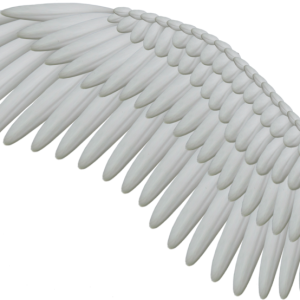 Wings PNG
