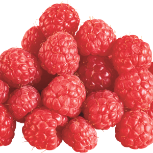 Rraspberry PNG image