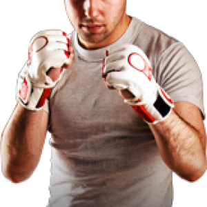 Mixed martial arts PNG, MMA PNG