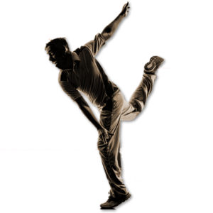 Cricket PNG