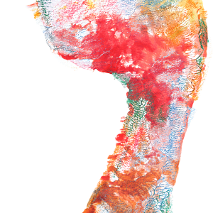 Footprints PNG