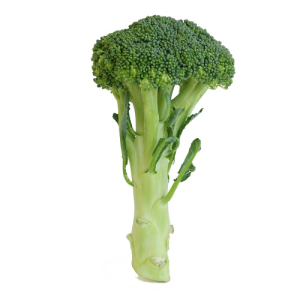 Broccoli PNG