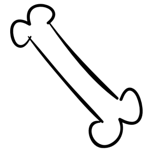 Bone PNG