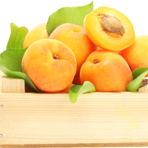 Apricots in box PNG