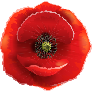 transparent image poppy flower PNG