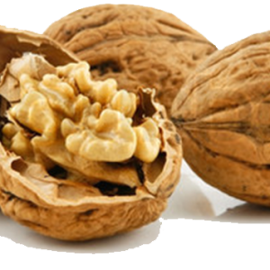 Walnut PNG