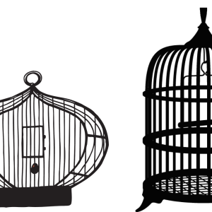 Cage bird PNG