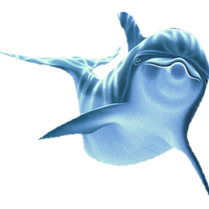 Dolphin PNG