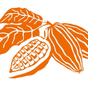 Cacao PNG