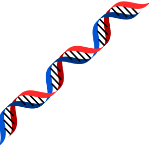 DNA PNG