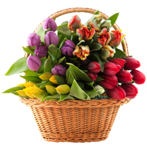 Bouquet flowers PNG