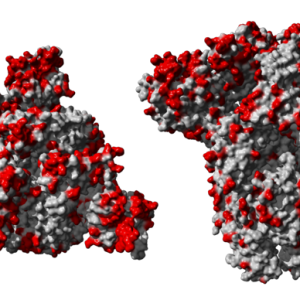 Coronavirus PNG