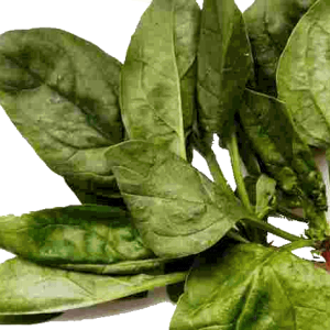 Spinach PNG