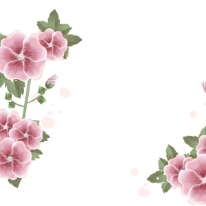 Floral frame PNG