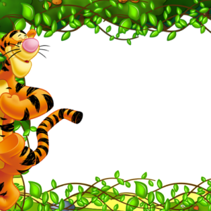 Picture, photo frame PNG
