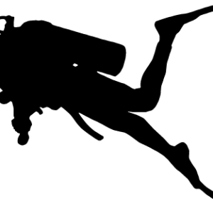 Diver PNG