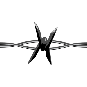 Barbwire PNG