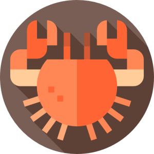 Cancer zodiac PNG