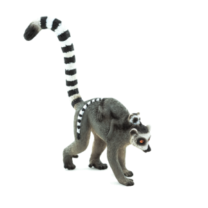 Lemur PNG