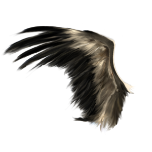 Wings PNG