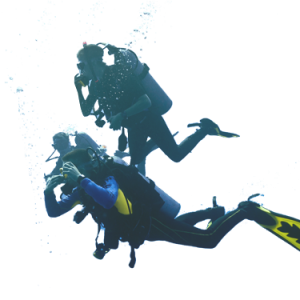 Diver PNG