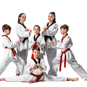 Taekwondo PNG