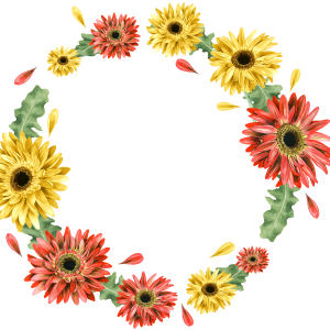 Floral frame PNG