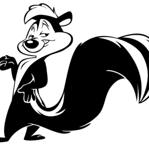 Skunk PNG