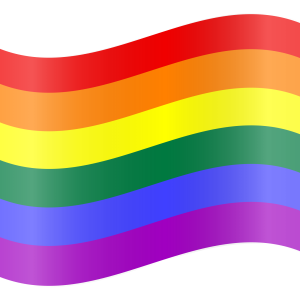 LGBT flag PNG