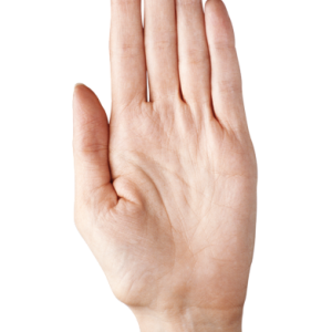 hand PNG