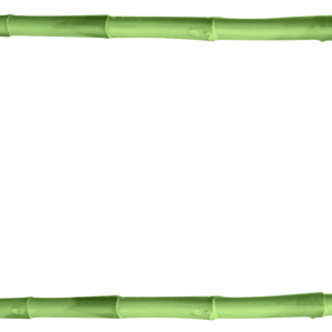 Bamboo PNG