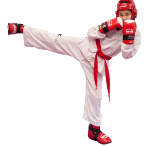 Taekwondo PNG