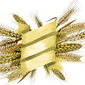 Wheat PNG