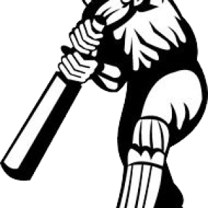 Cricket PNG