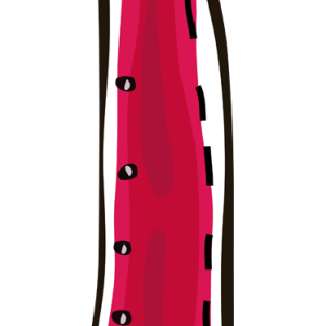 letter I PNG