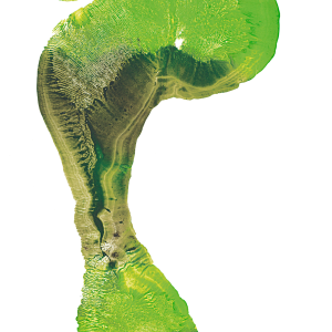 Footprints PNG