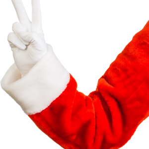 Santa Claus hand PNG