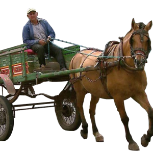 Carriage PNG