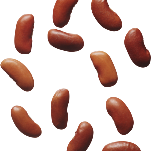 Kidney beans PNG