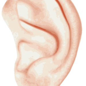 Ear PNG image