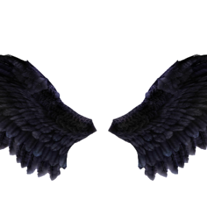 Wings PNG