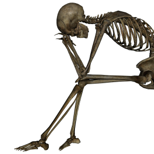 Skeleton PNG