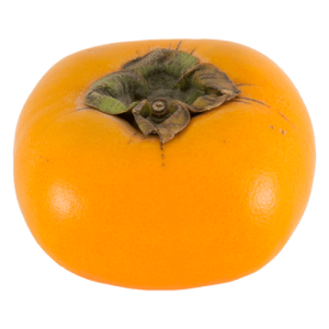 Persimmon PNG