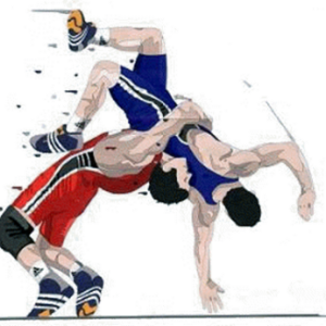 Wrestling PNG