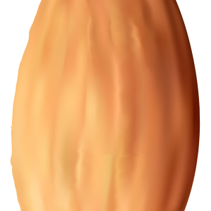Almond PNG