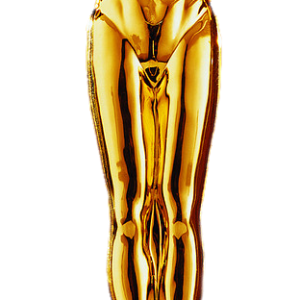 Academy Awards PNG, the Oscars PNG