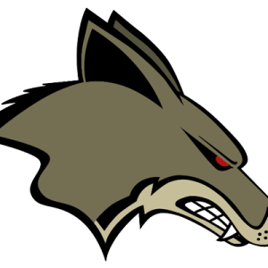 Jackal, coyote PNG