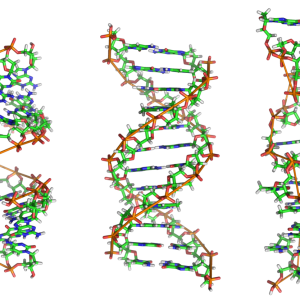 DNA PNG